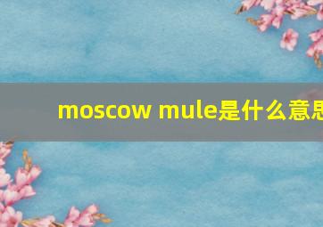 moscow mule是什么意思